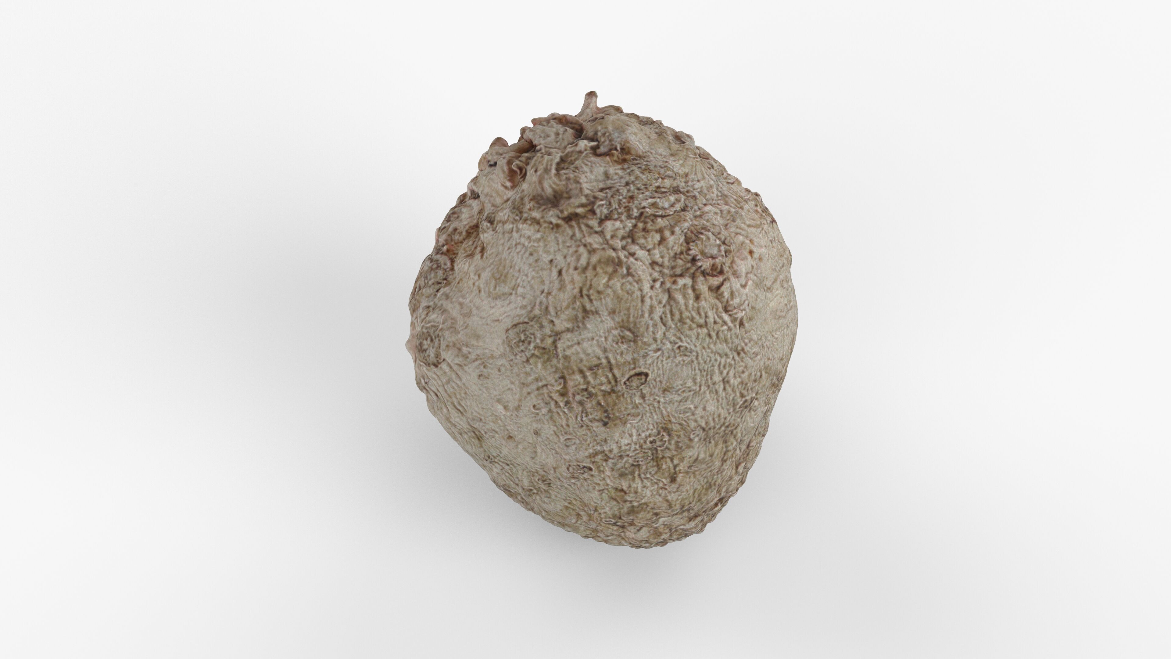 Photorealistic 3D scan of Celery Low-poly 3D model_7