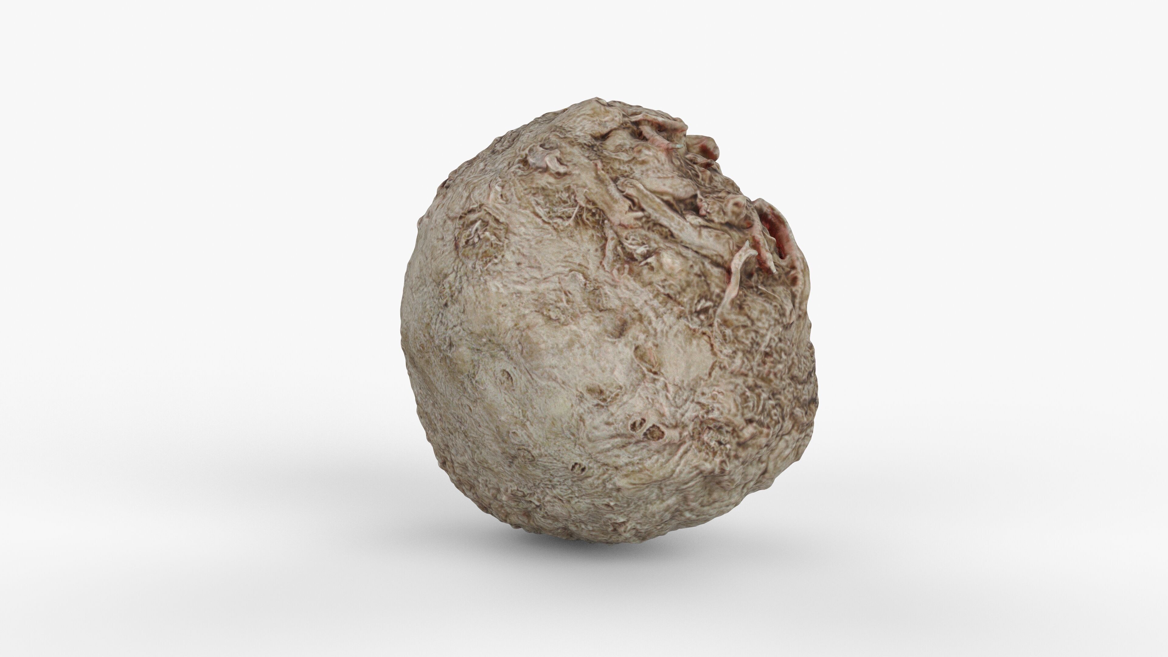 Photorealistic 3D scan of Celery Low-poly 3D model_13