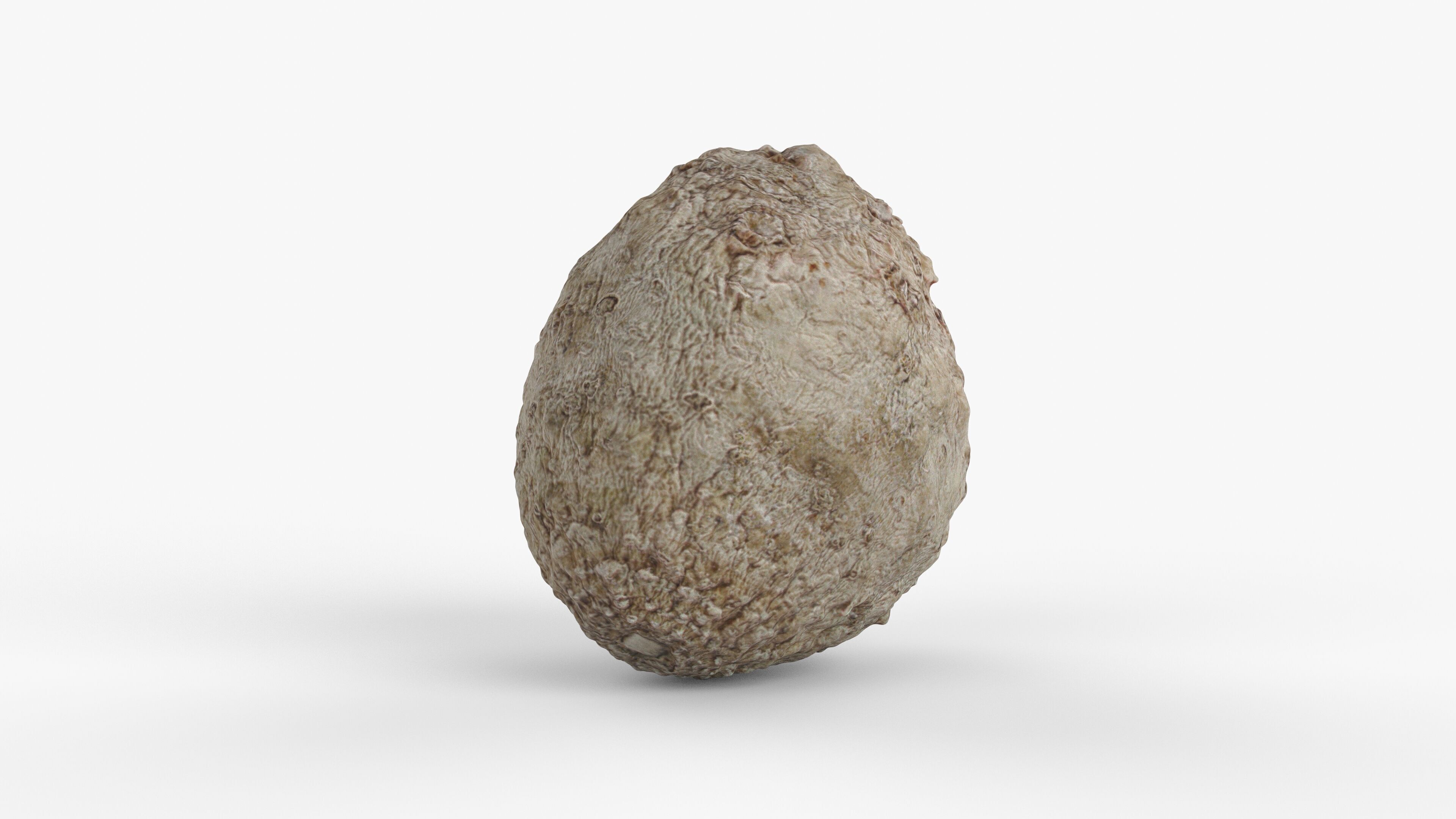 Photorealistic 3D scan of Celery Low-poly 3D model_10