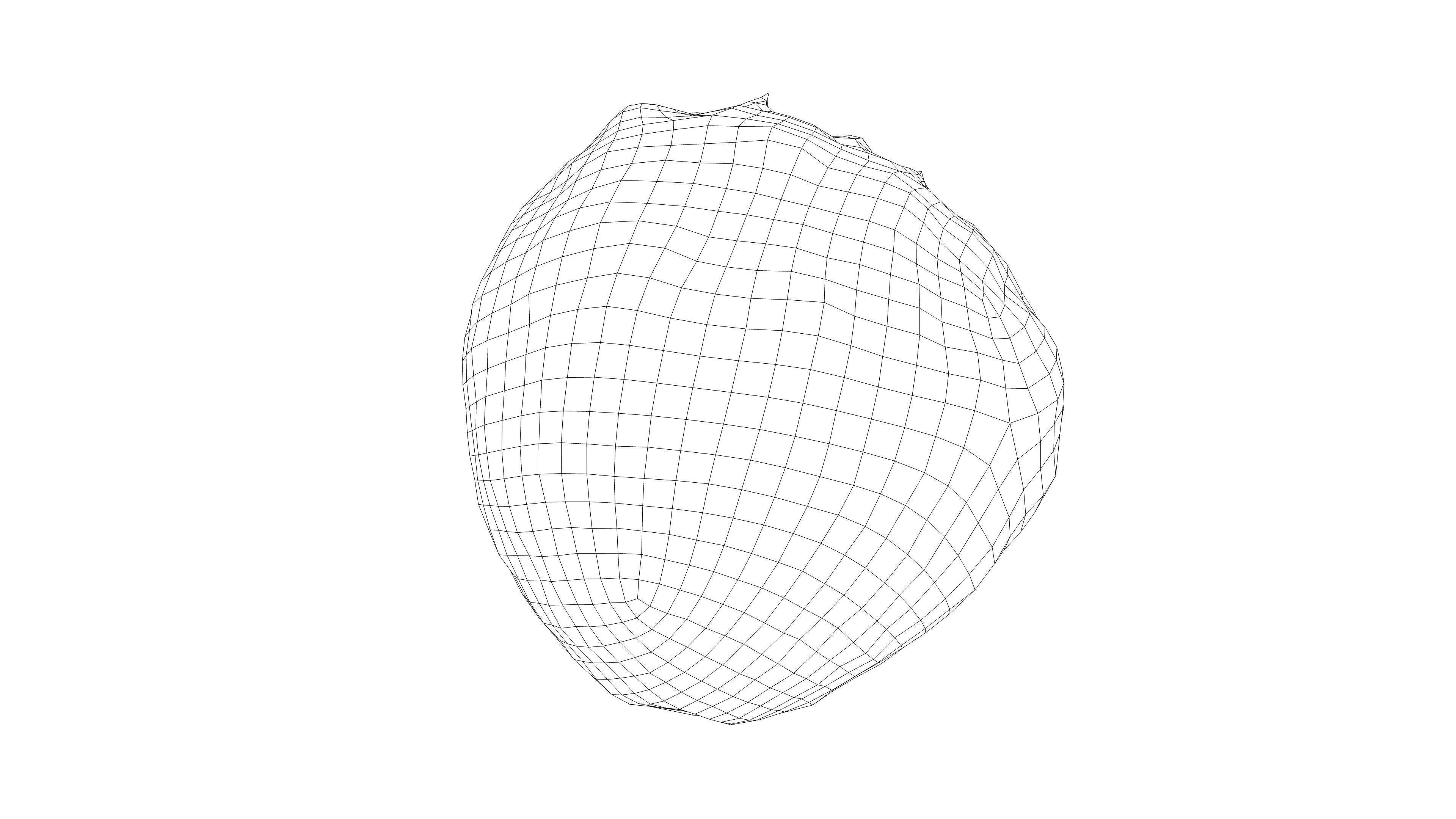 Photorealistic 3D scan of Celery Low-poly 3D model_15