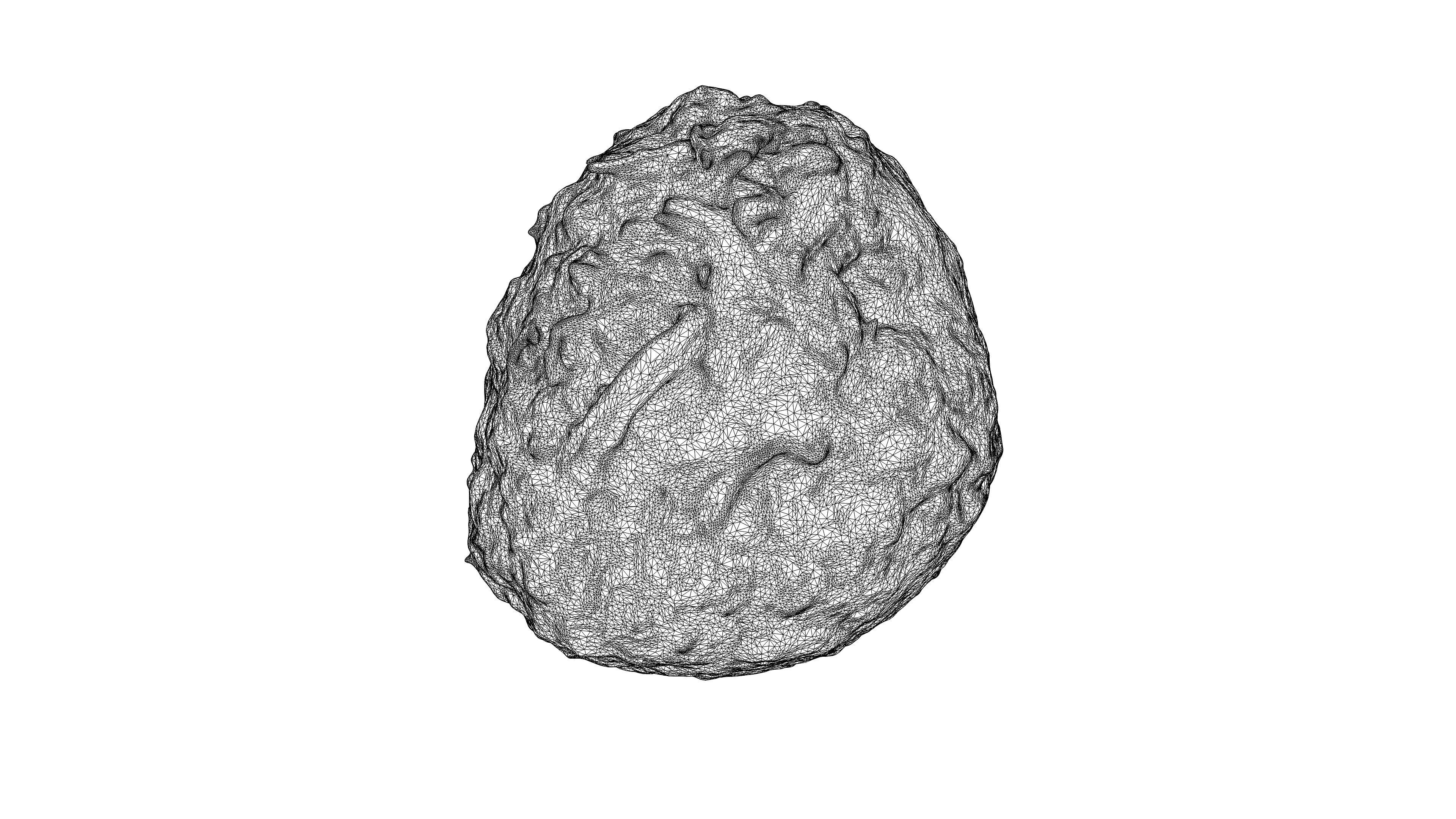 Photorealistic 3D scan of Celery Low-poly 3D model_19