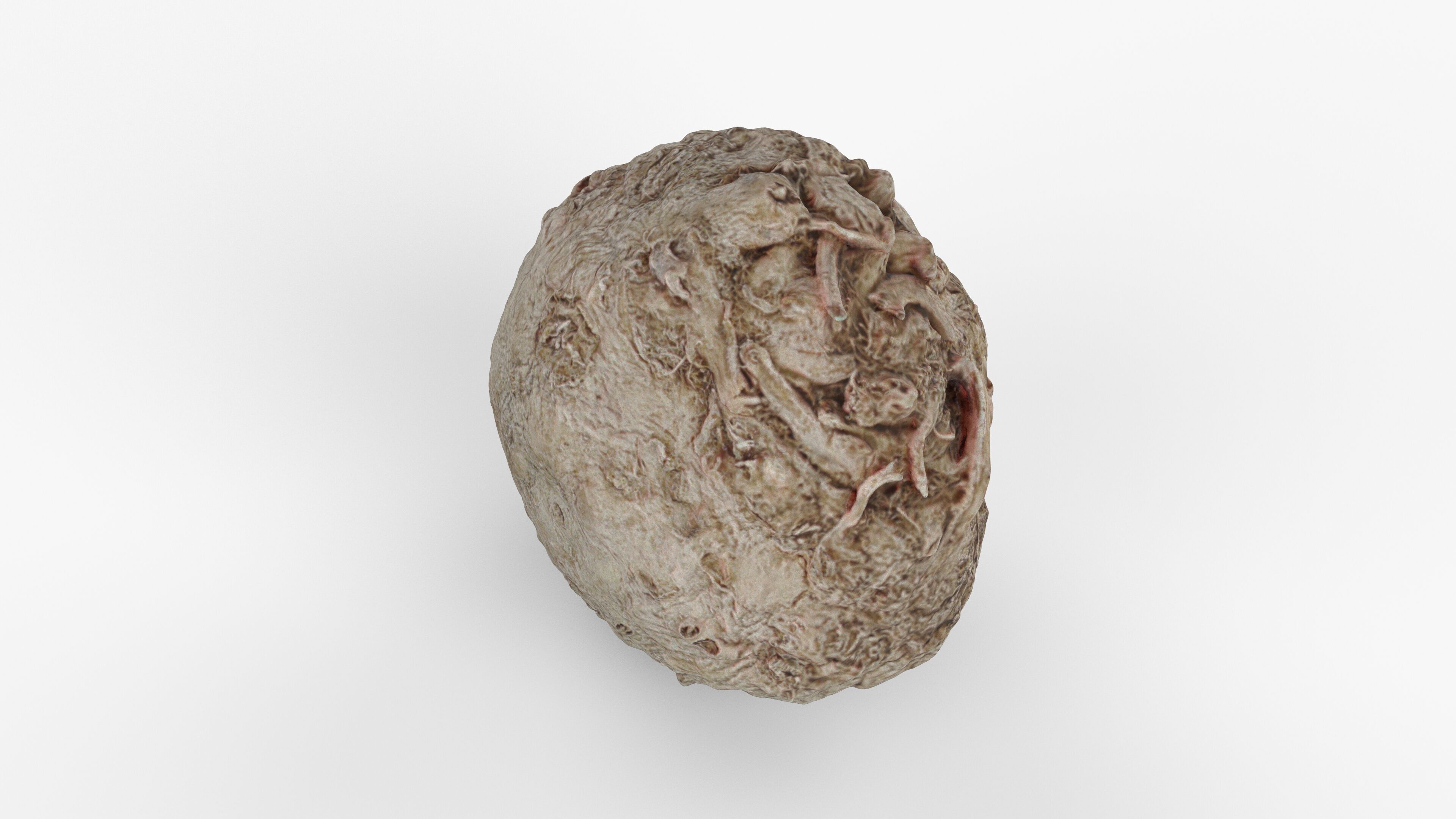 Photorealistic 3D scan of Celery Low-poly 3D model_5