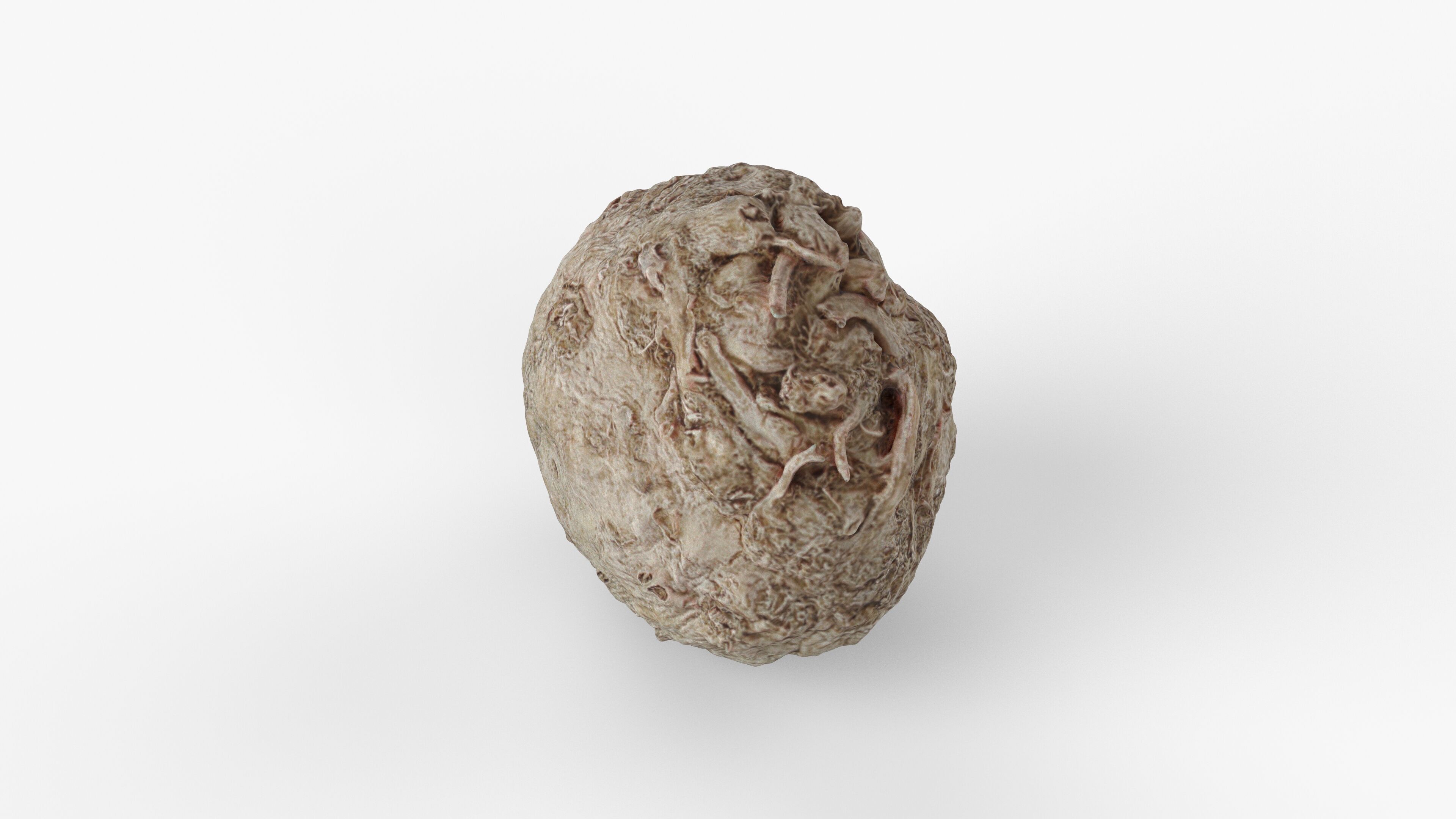 Photorealistic 3D scan of Celery Low-poly 3D model_12