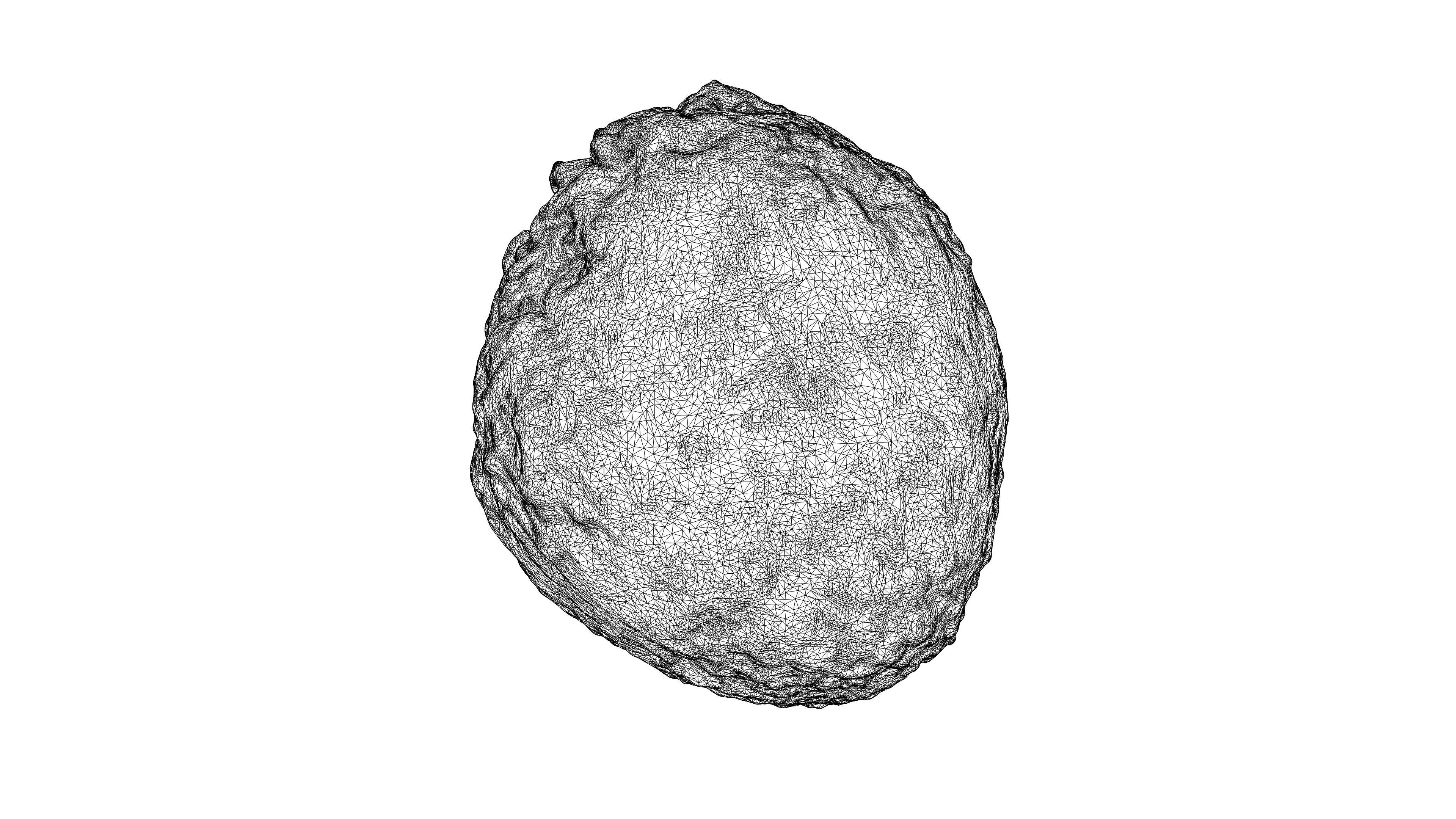 Photorealistic 3D scan of Celery Low-poly 3D model_22