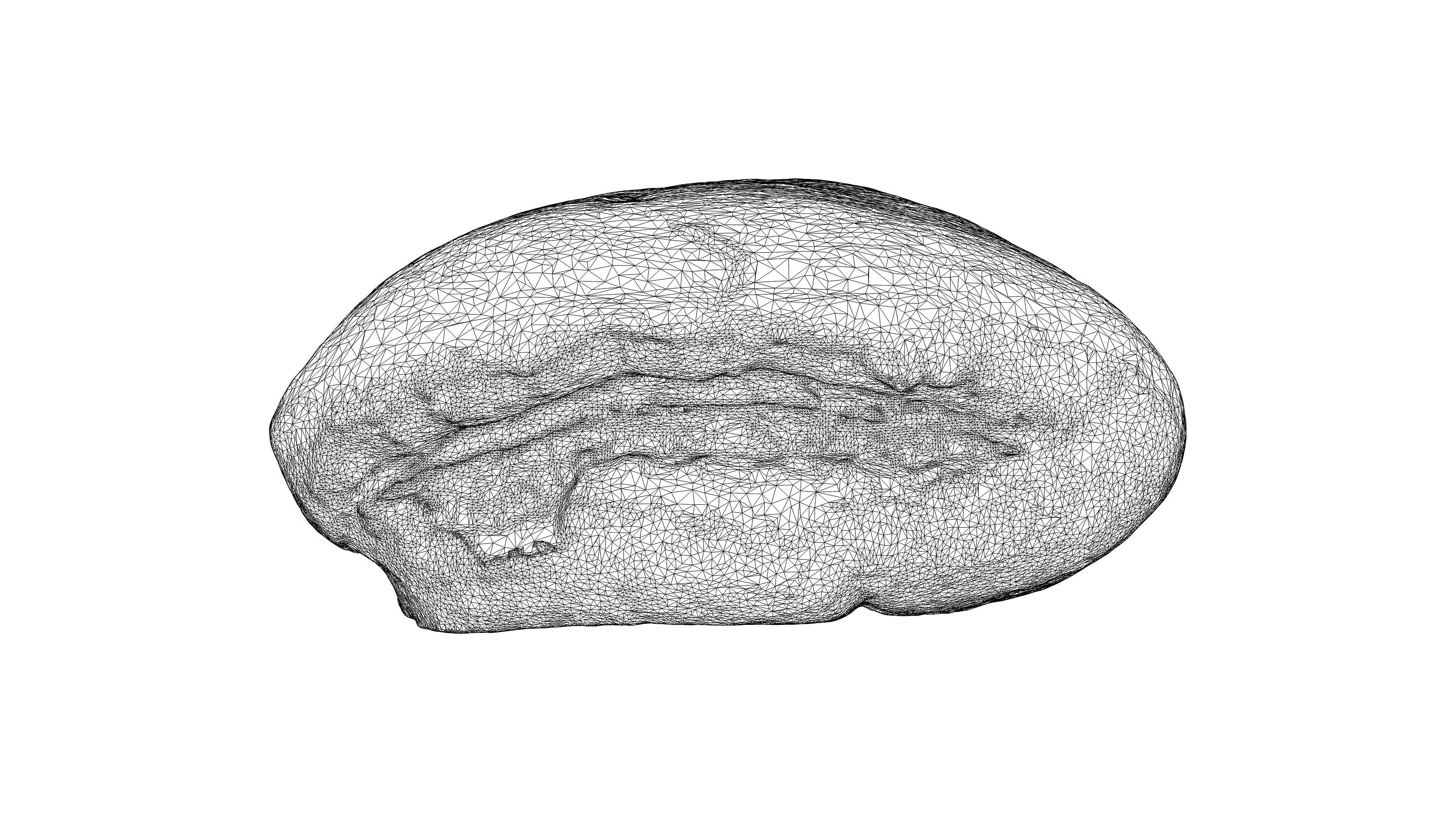 Photorealistic 3D scan of sweet bun Low-poly 3D model_23