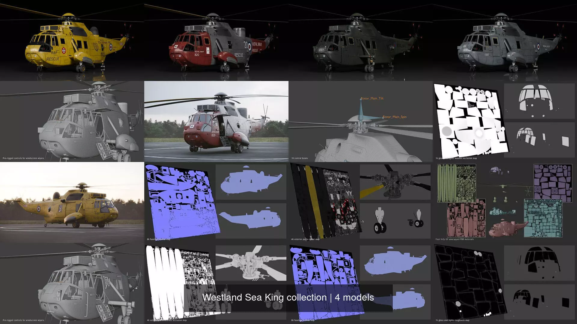 Westland Sea King collection _0