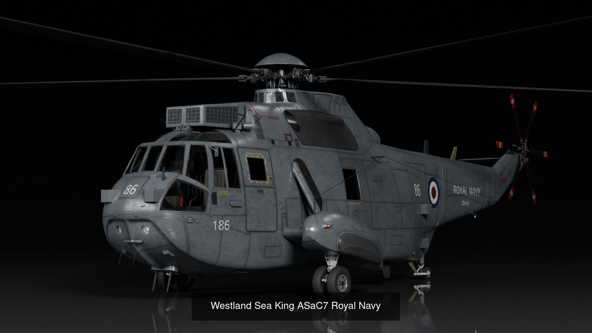 Westland Sea King collection _8