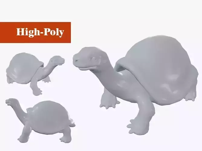 turtle rig  high-poly 