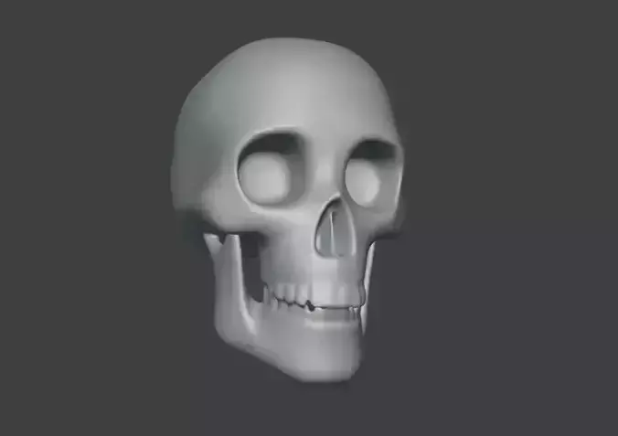 Basic Skull