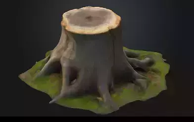 Treestump