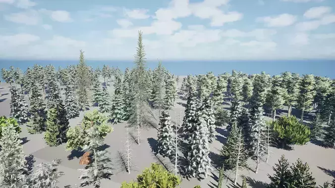 Conifer Trees 3D Pack - LowPoly Low-poly 3D model