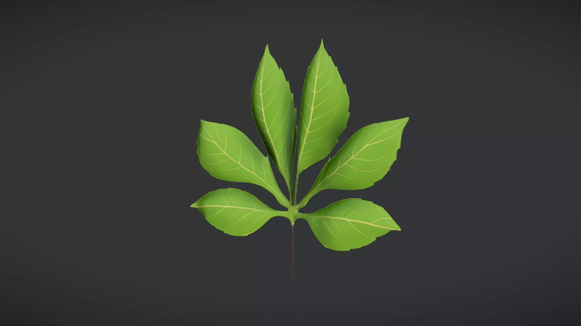 Green plant leaves with stem 3D model_0