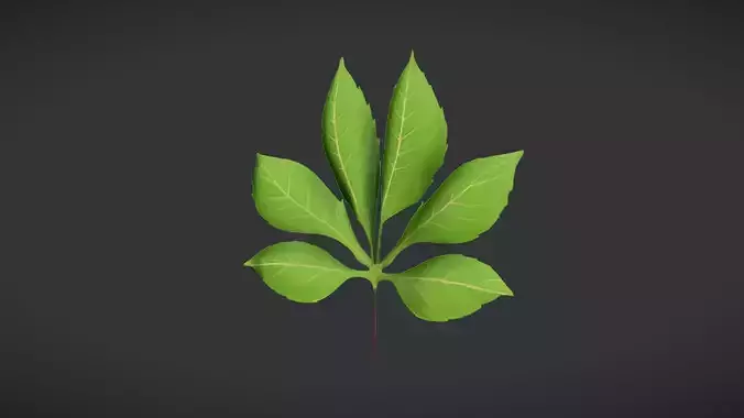 Green plant leaves with stem