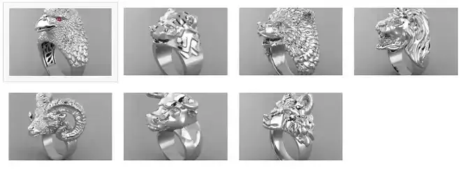 Animals 3D Model Collection