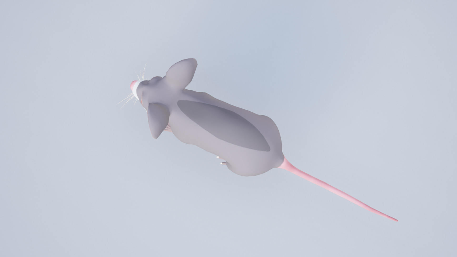 Cartoon Mouse Low-poly 3D model_10