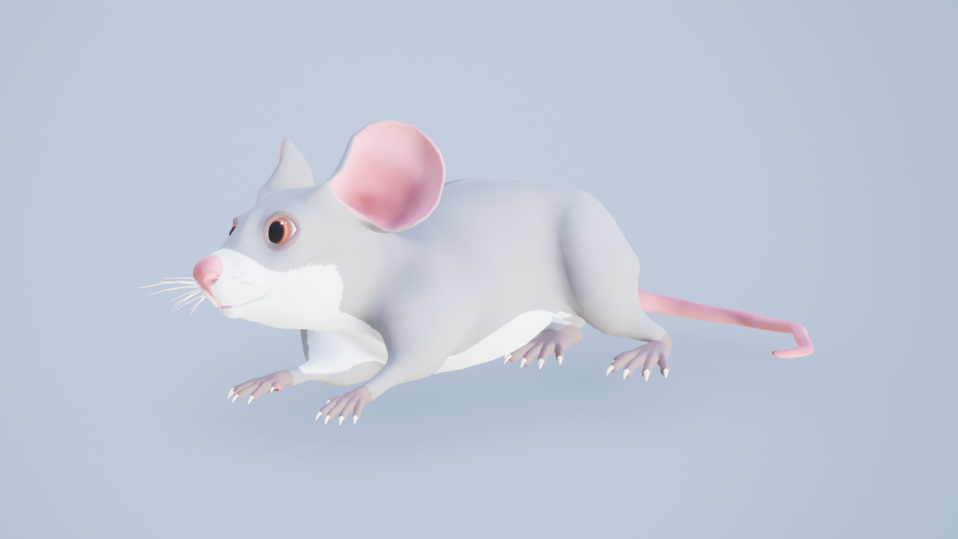 Cartoon Mouse Low-poly 3D model_13