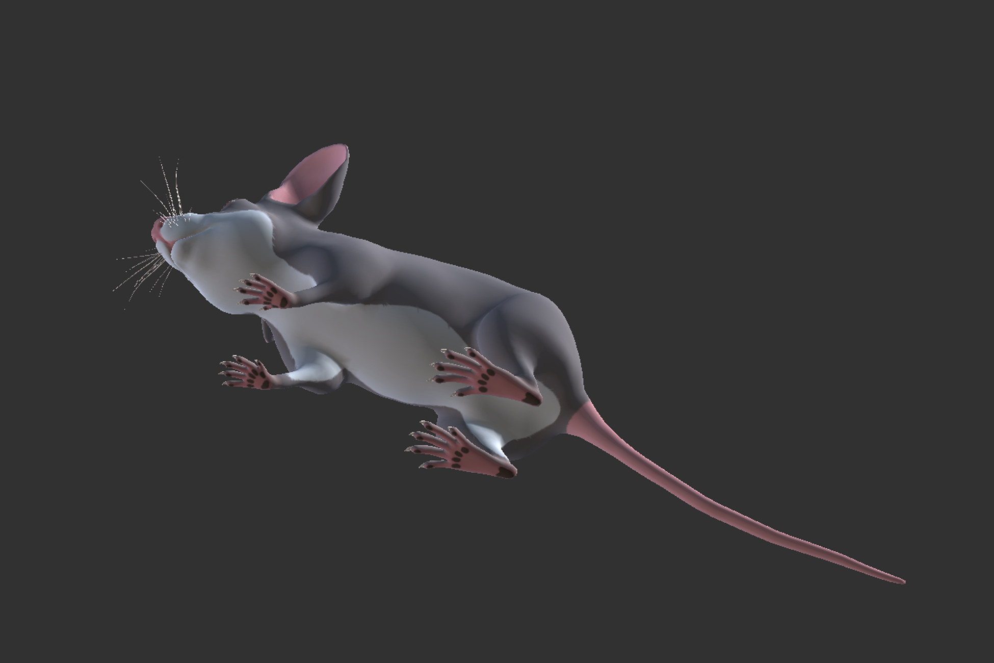 Cartoon Mouse Low-poly 3D model_5