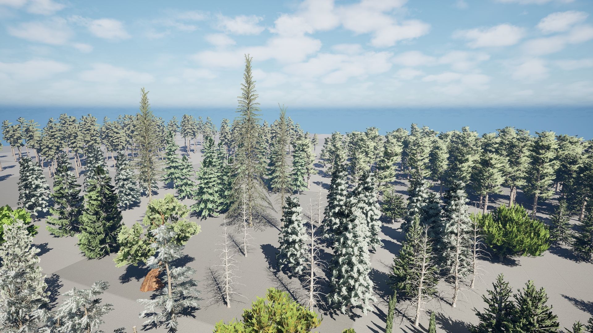 Realistic Conifer Tree Assets LowPoly 3D Model Collection_15