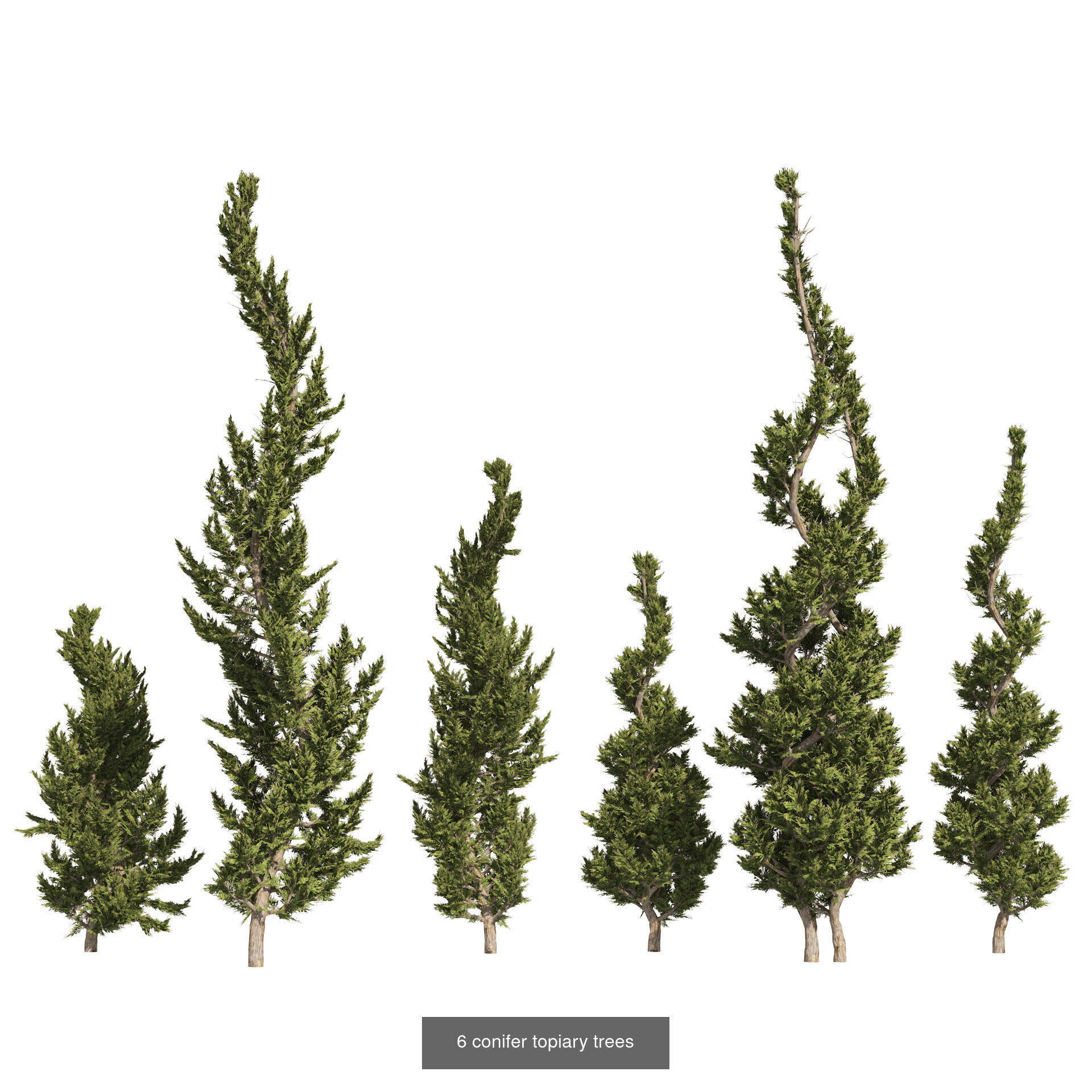 Realistic Conifer Tree Assets LowPoly 3D Model Collection_18