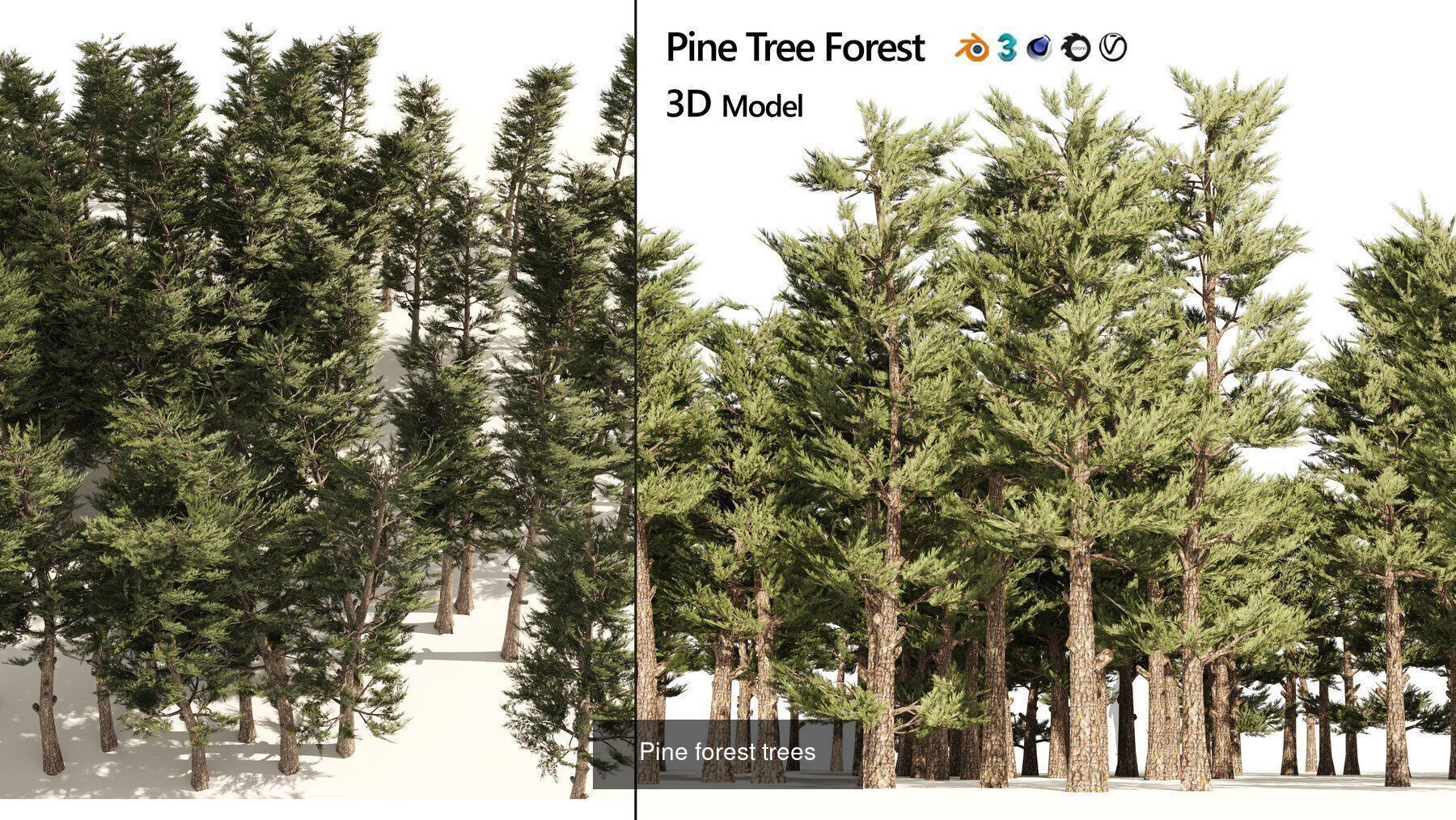 Realistic Conifer Tree Assets LowPoly 3D Model Collection_31