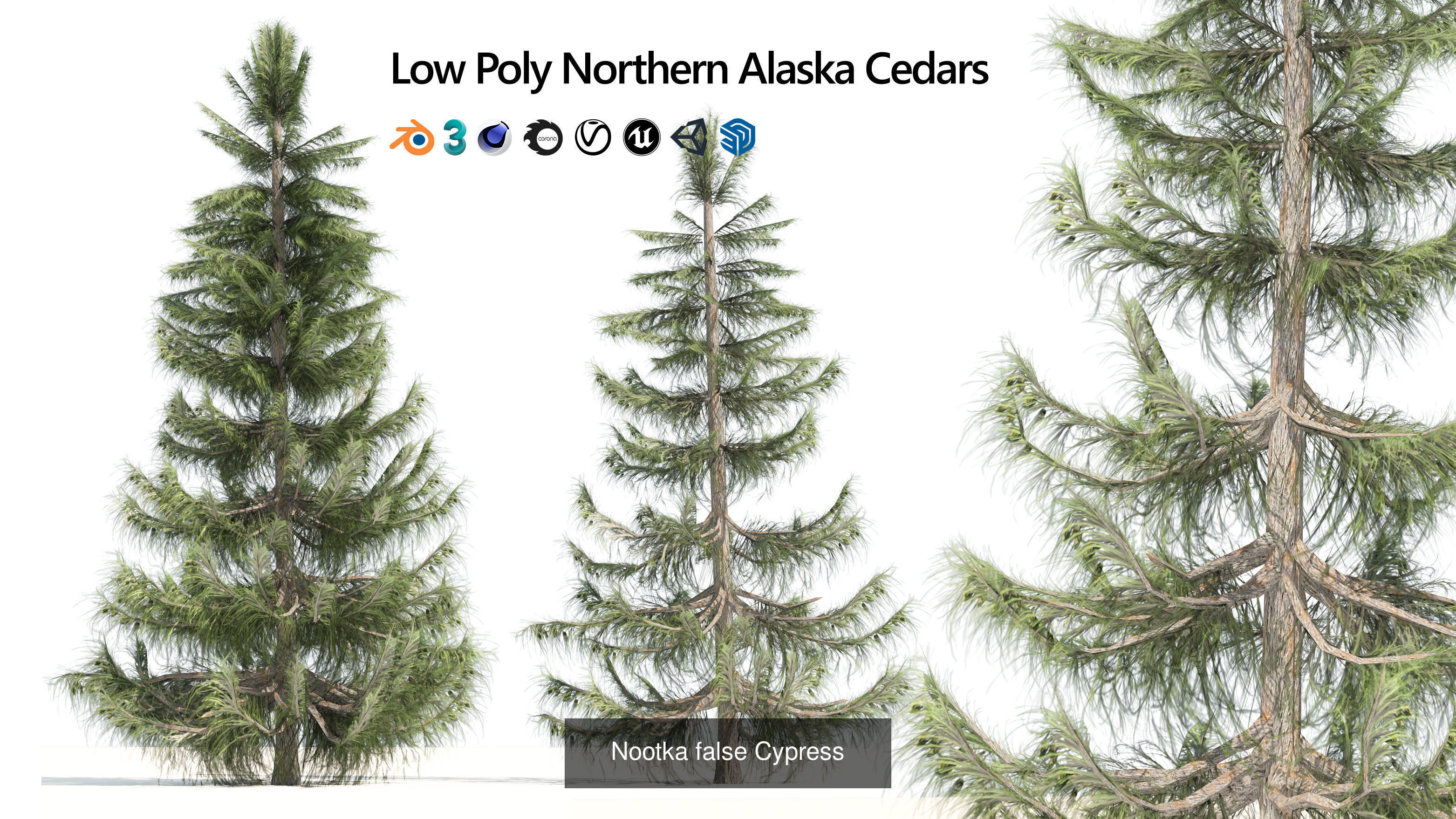Realistic Conifer Tree Assets LowPoly 3D Model Collection_32