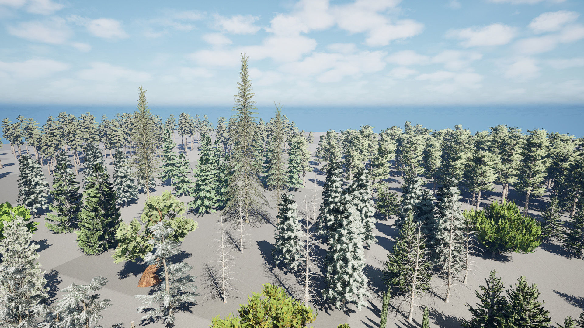 Realistic Conifer Tree Assets LowPoly 3D Model Collection_9