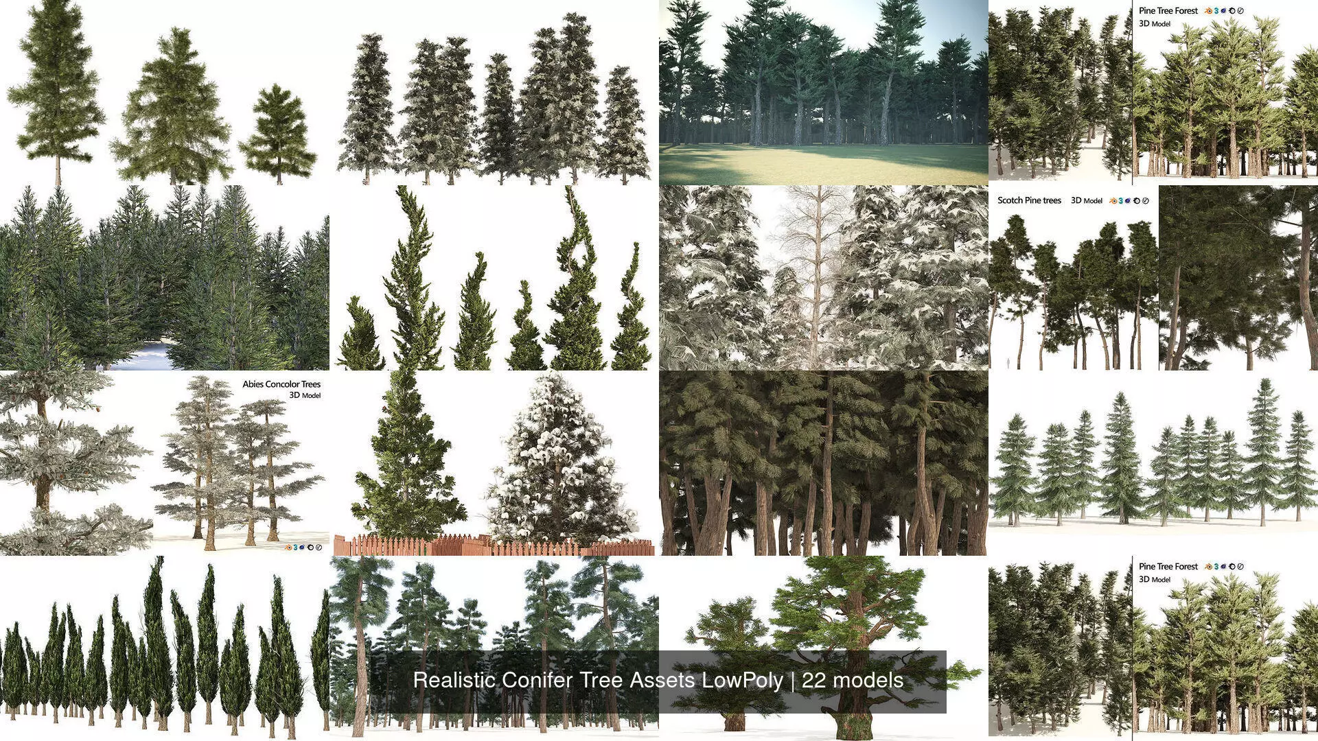 Realistic Conifer Tree Assets LowPoly 3D Model Collection_0