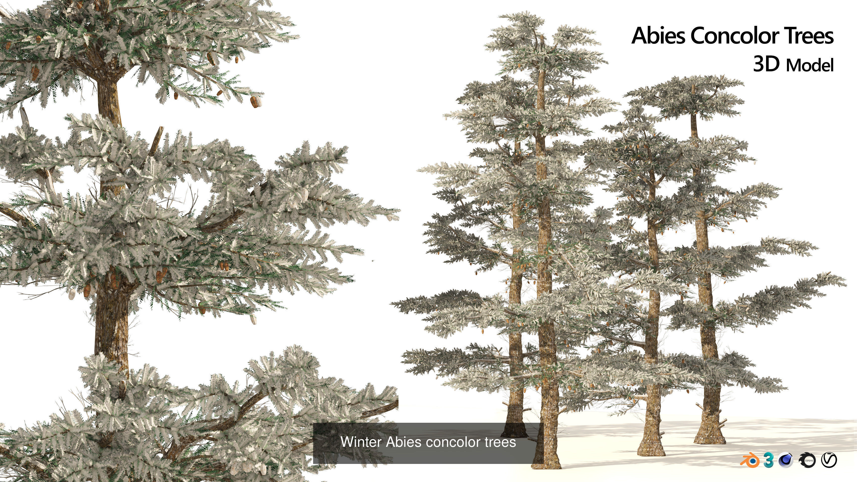 Realistic Conifer Tree Assets LowPoly 3D Model Collection_24
