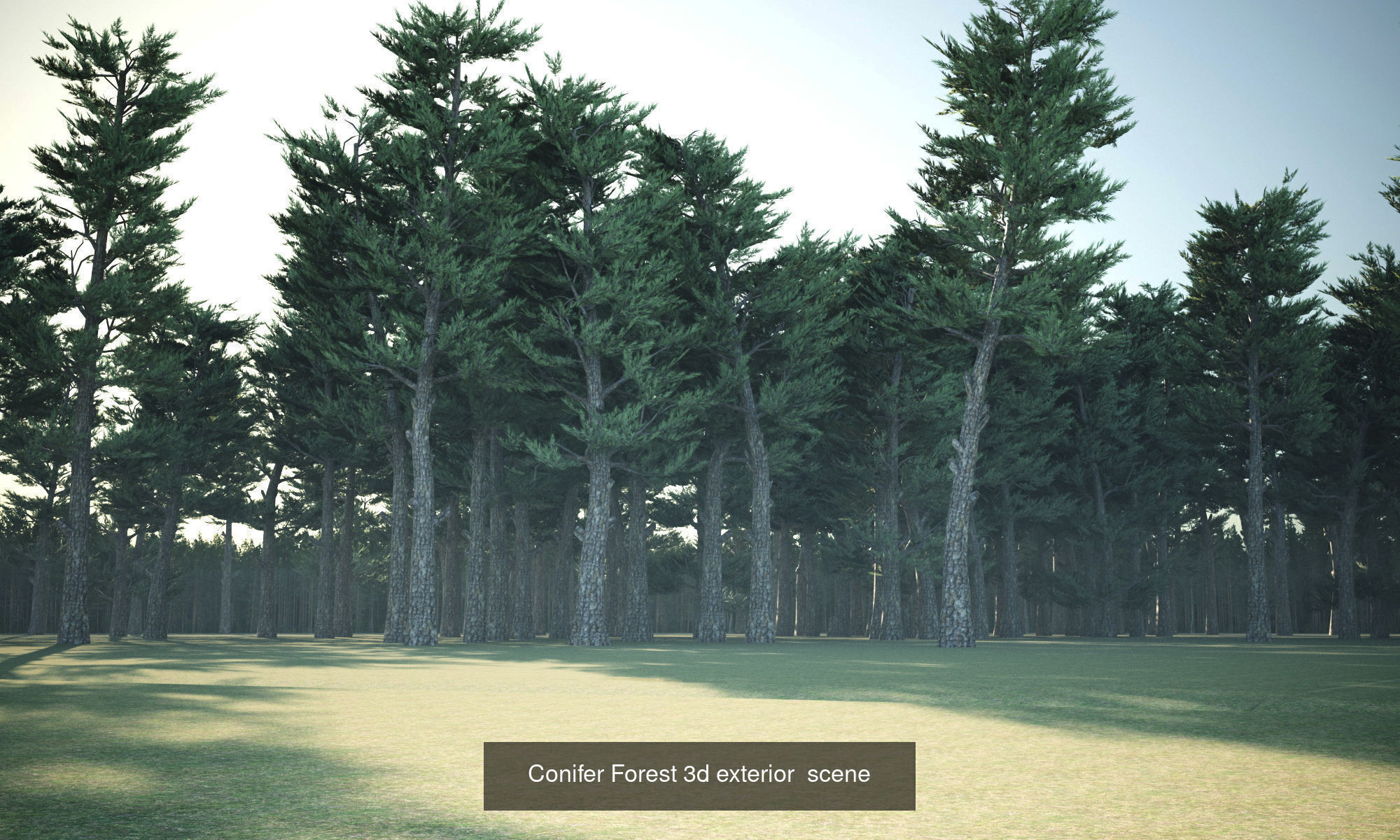 Realistic Conifer Tree Assets LowPoly 3D Model Collection_12