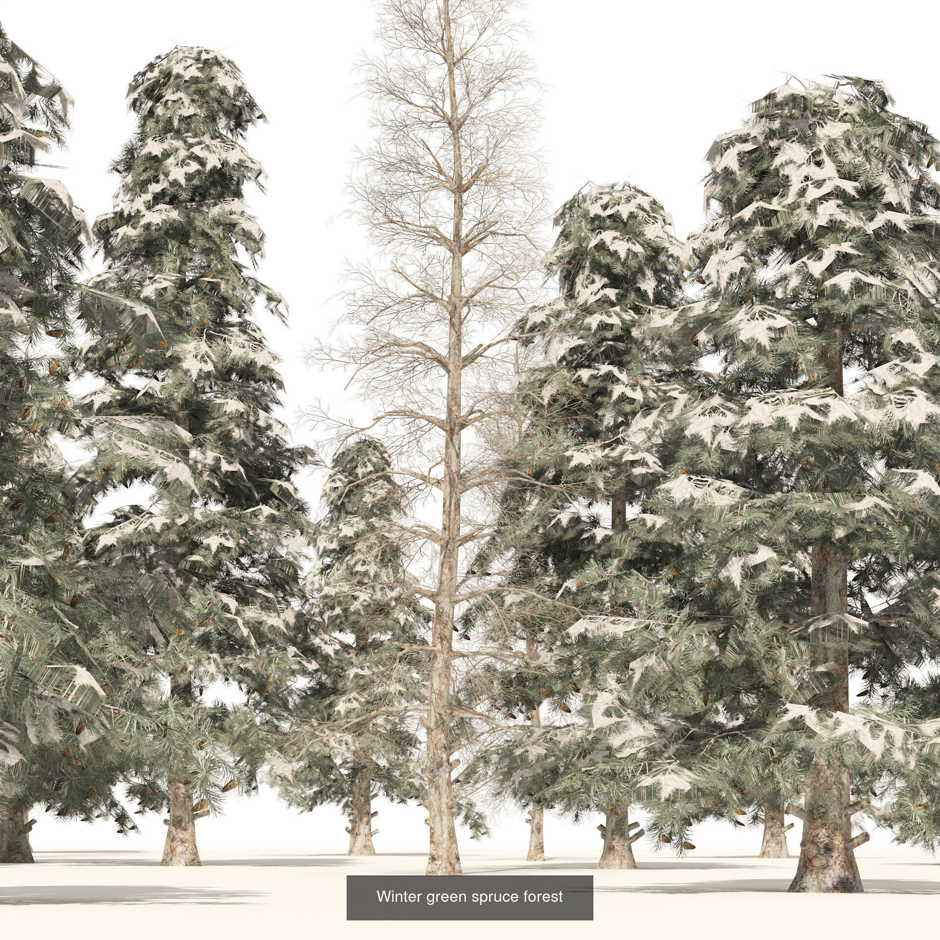 Realistic Conifer Tree Assets LowPoly 3D Model Collection_20
