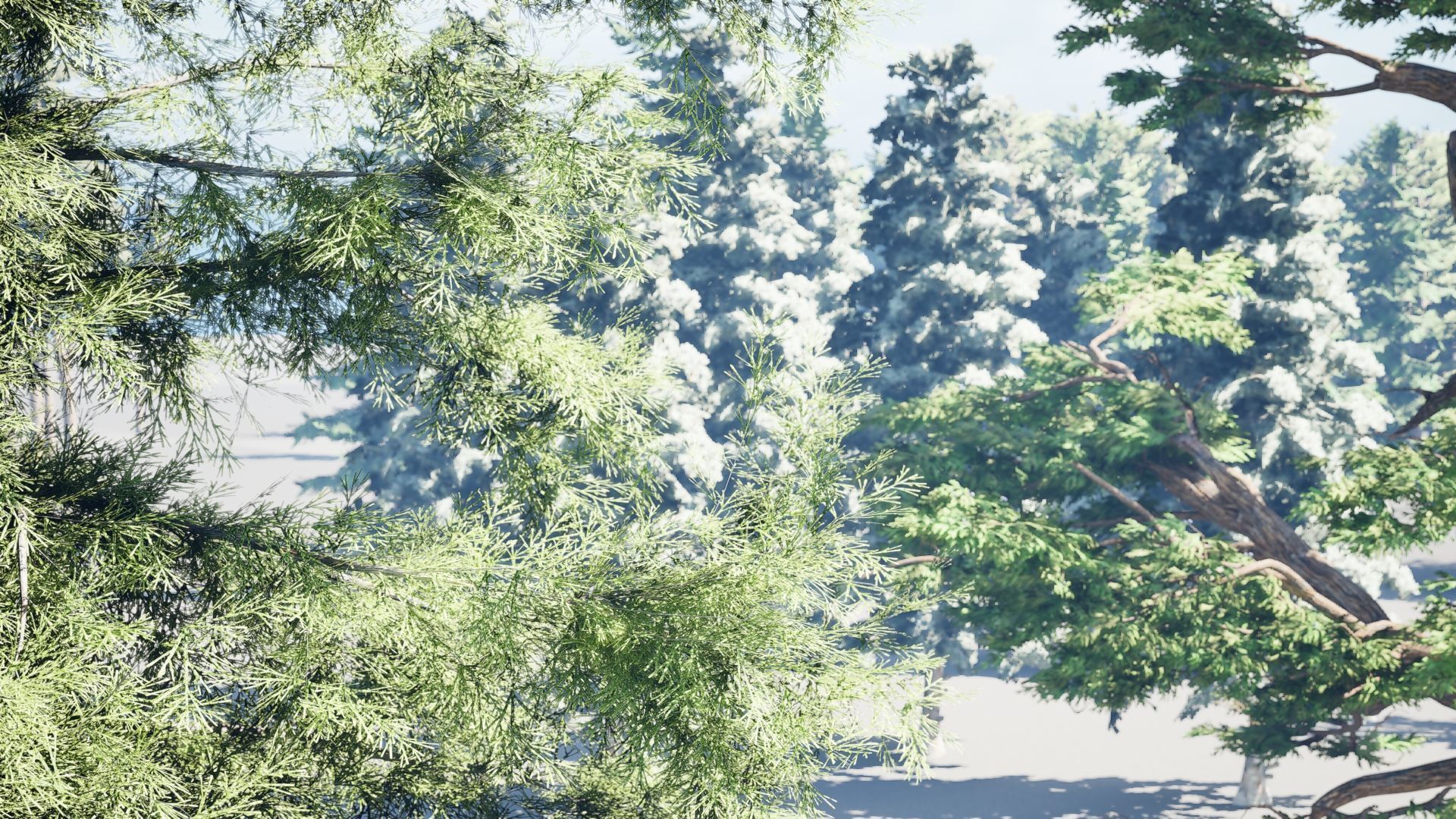 Realistic Conifer Tree Assets LowPoly 3D Model Collection_21