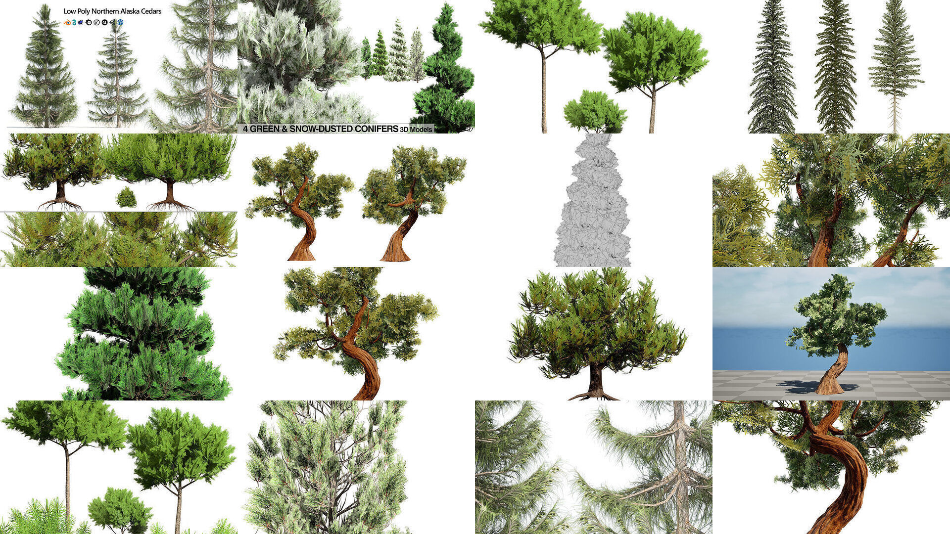 Realistic Conifer Tree Assets LowPoly 3D Model Collection_6