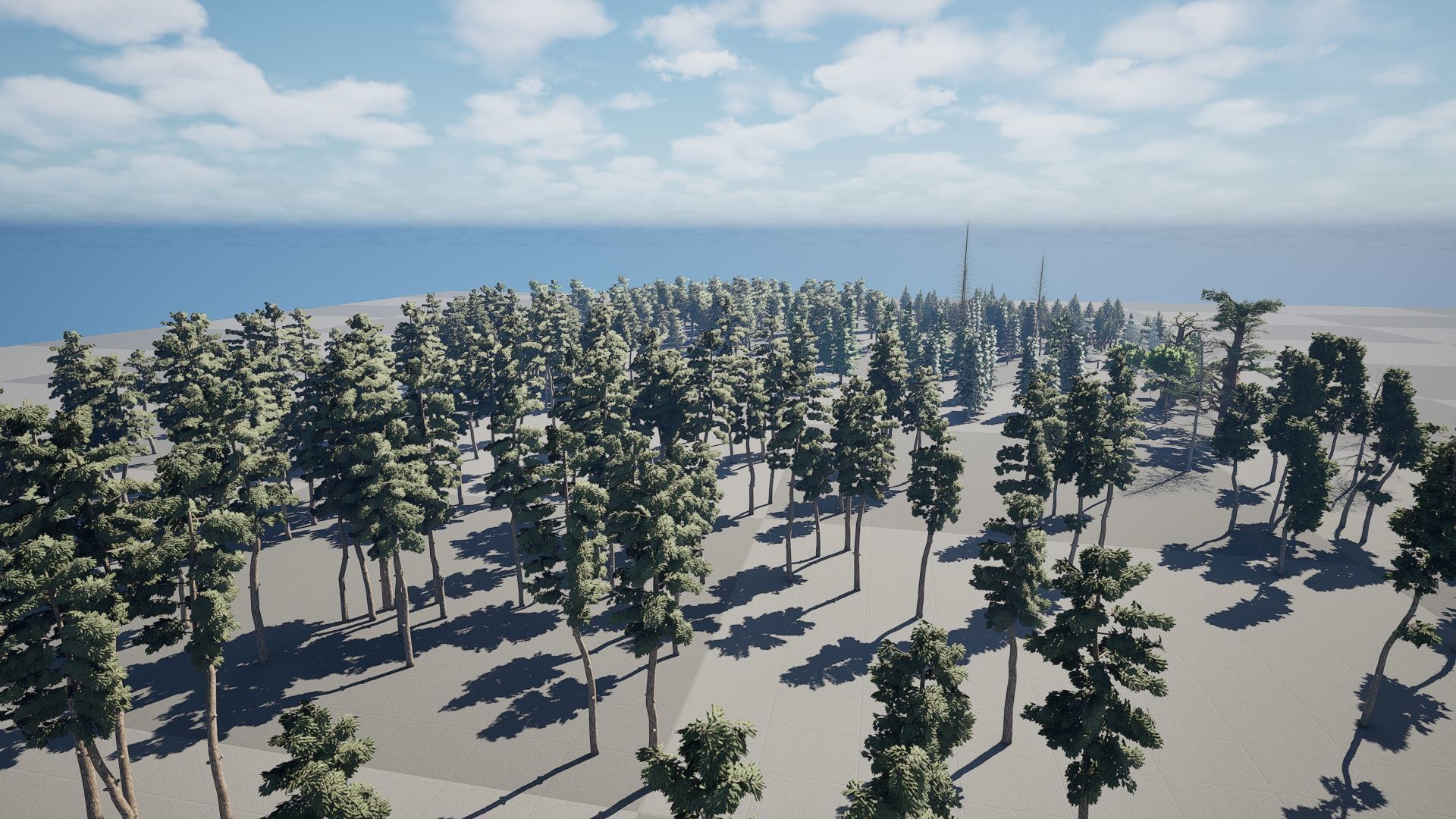 Realistic Conifer Tree Assets LowPoly 3D Model Collection_23