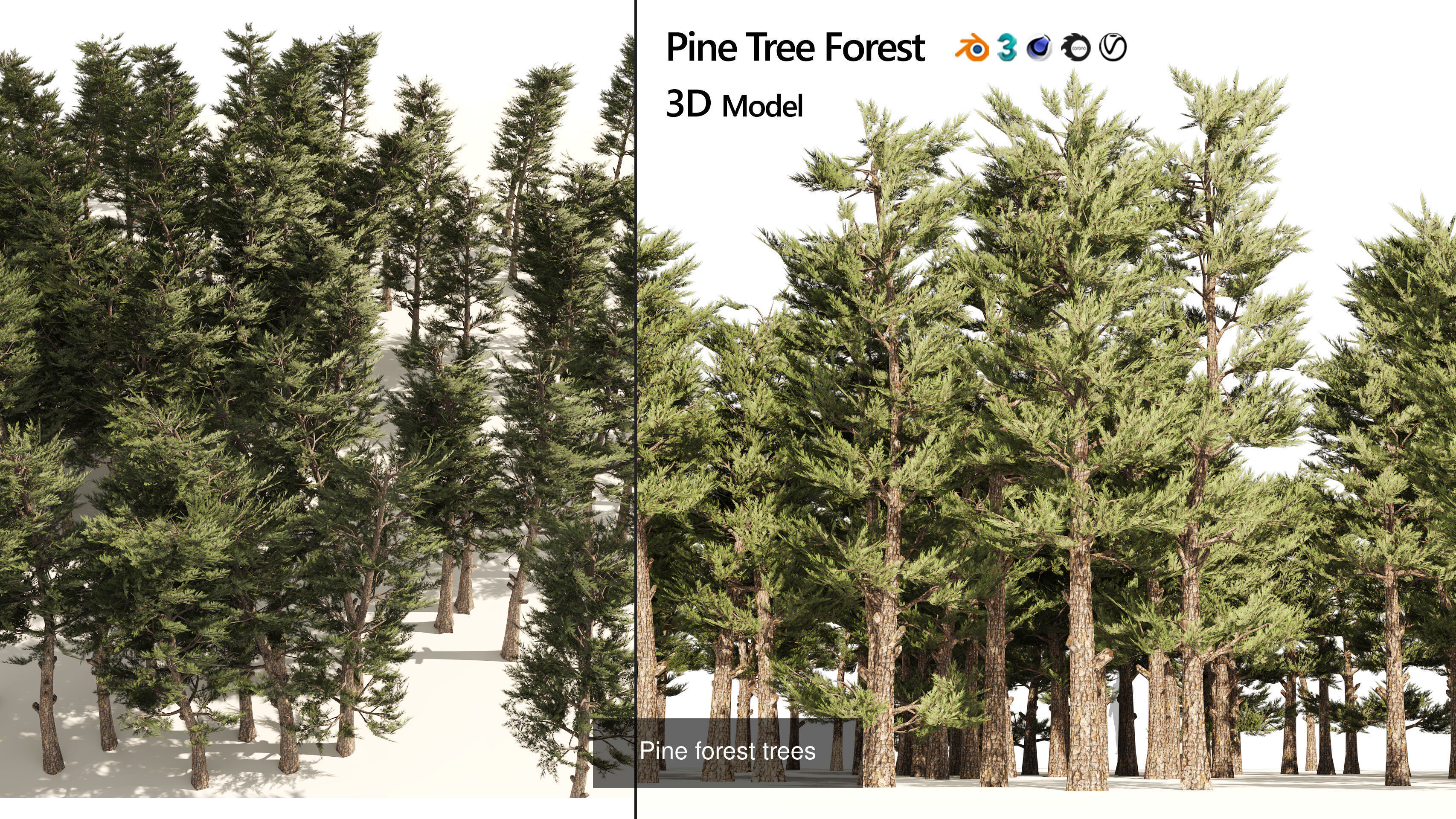 Realistic Conifer Tree Assets LowPoly 3D Model Collection_14