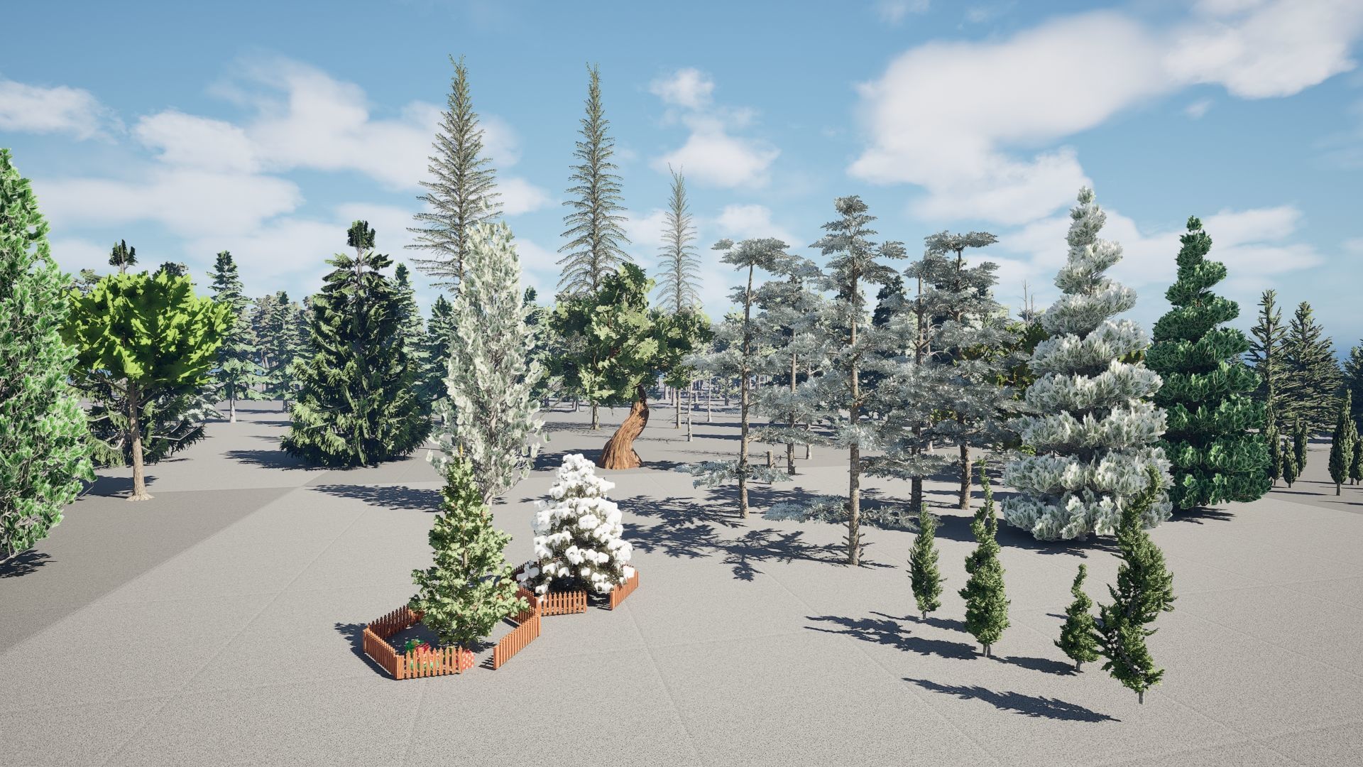 Realistic Conifer Tree Assets LowPoly 3D Model Collection_11
