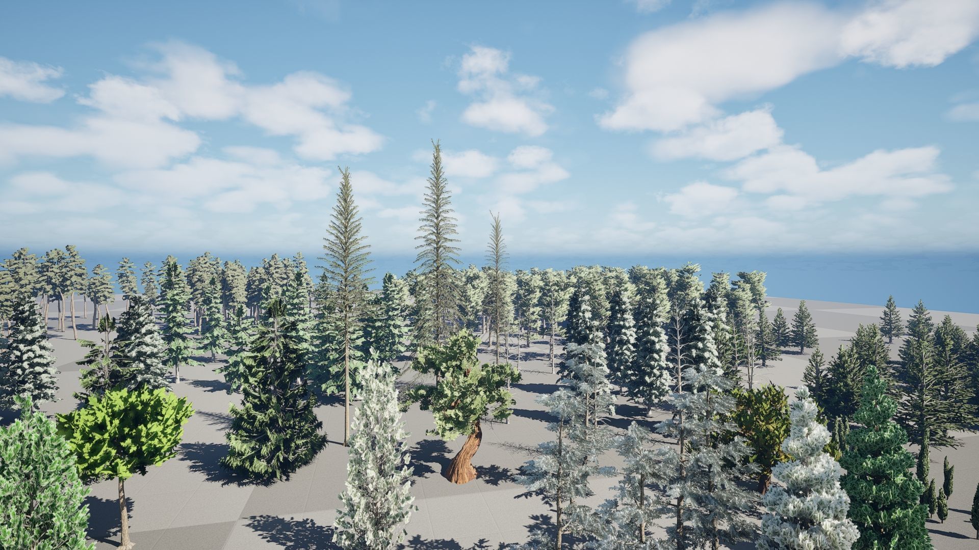 Realistic Conifer Tree Assets LowPoly 3D Model Collection_13