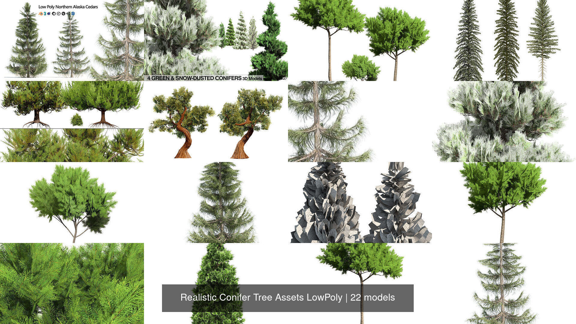 Realistic Conifer Tree Assets LowPoly 3D Model Collection_7