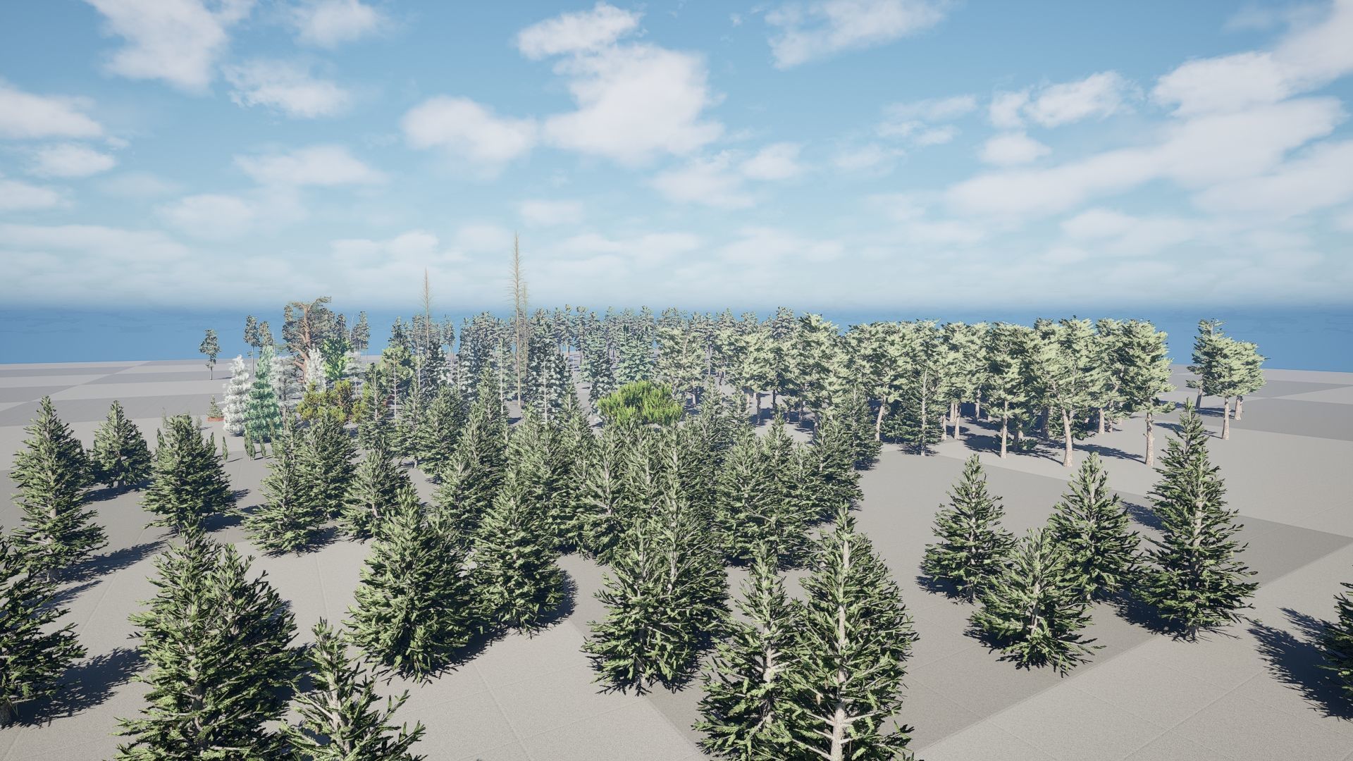 Realistic Conifer Tree Assets LowPoly 3D Model Collection_17