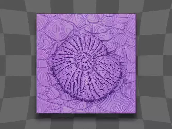 The snail design for CNC