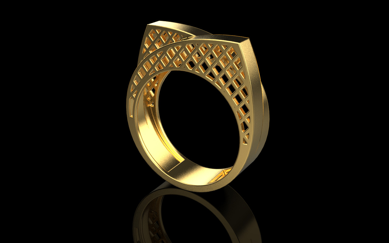 Lightweight ring model 794 3D print model_1