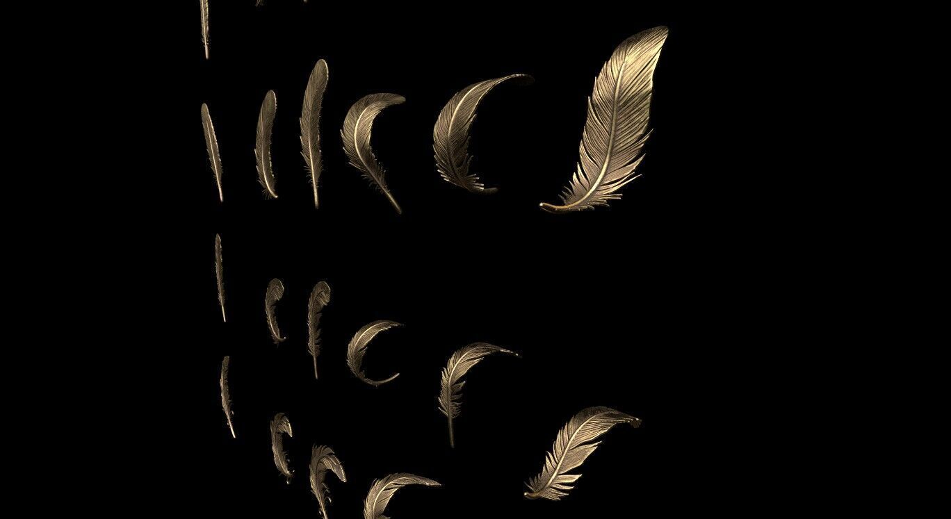 Feathers 3D print model_10