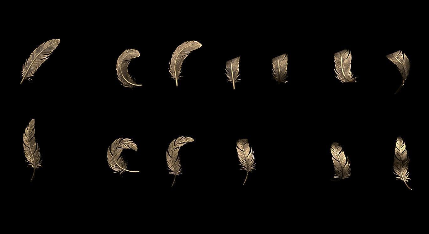 Feathers 3D print model_5