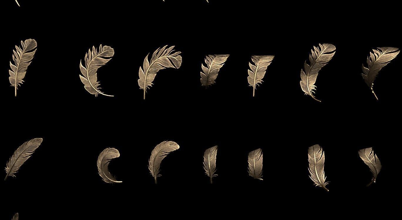 Feathers 3D print model_6