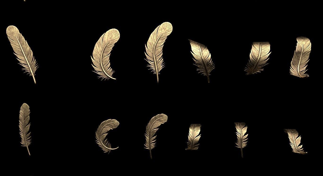 Feathers 3D print model_3