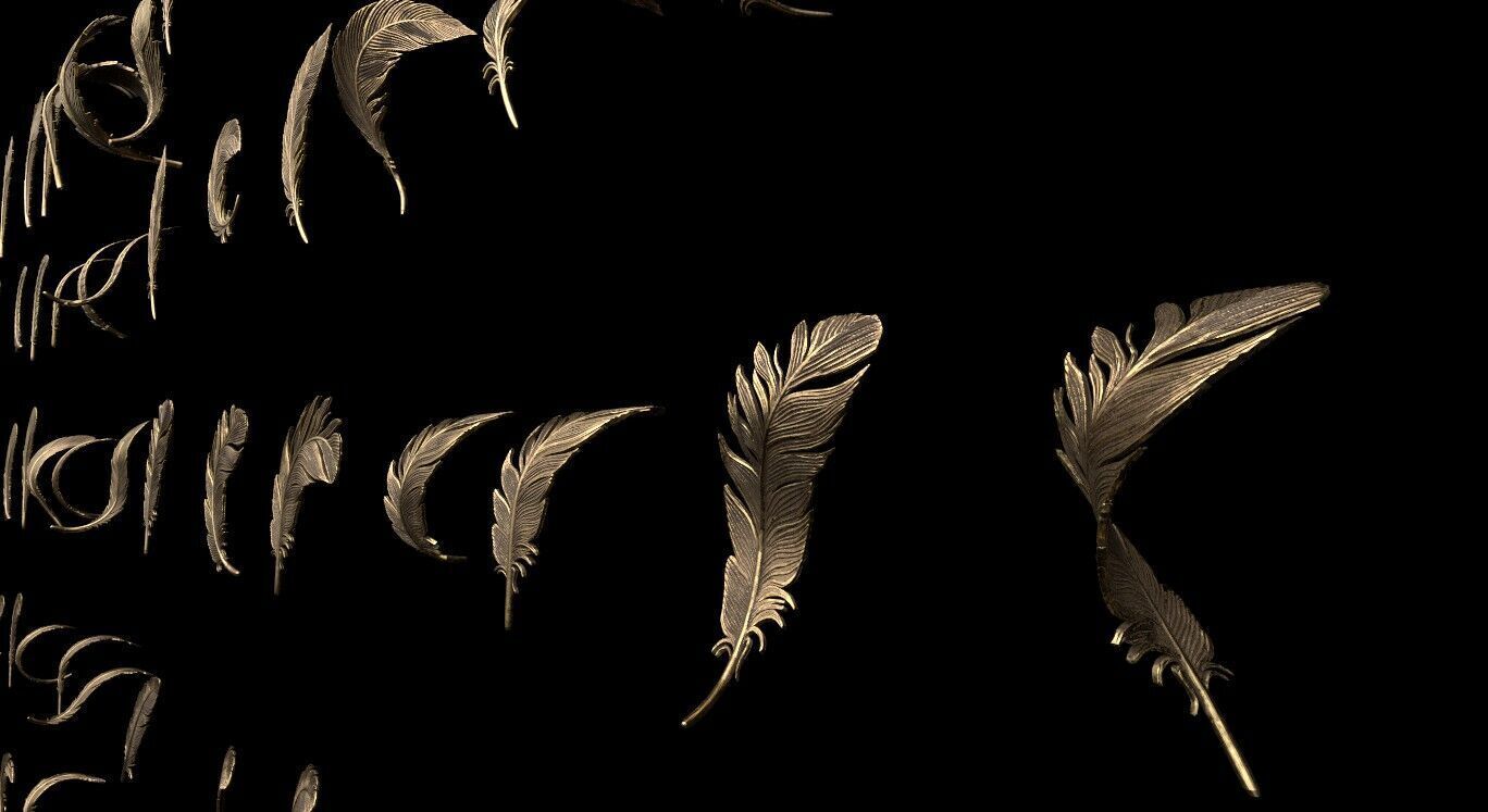 Feathers 3D print model_9