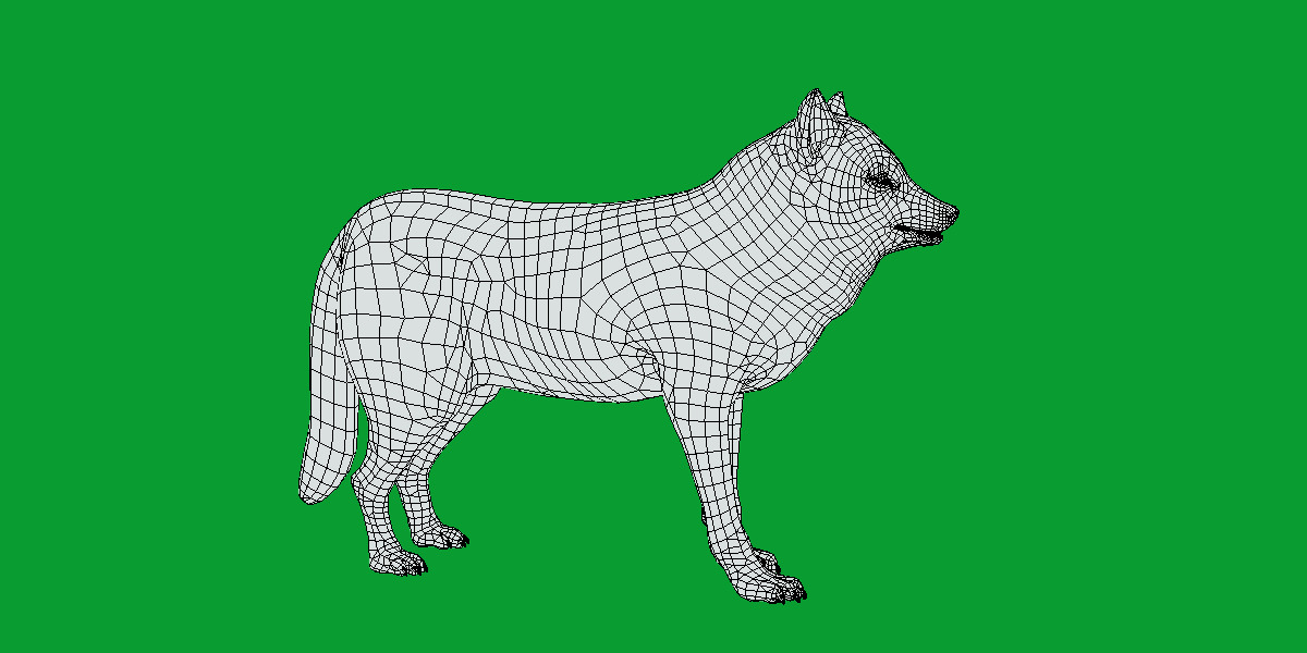 The Grey Wolf Low-poly 3D model_10