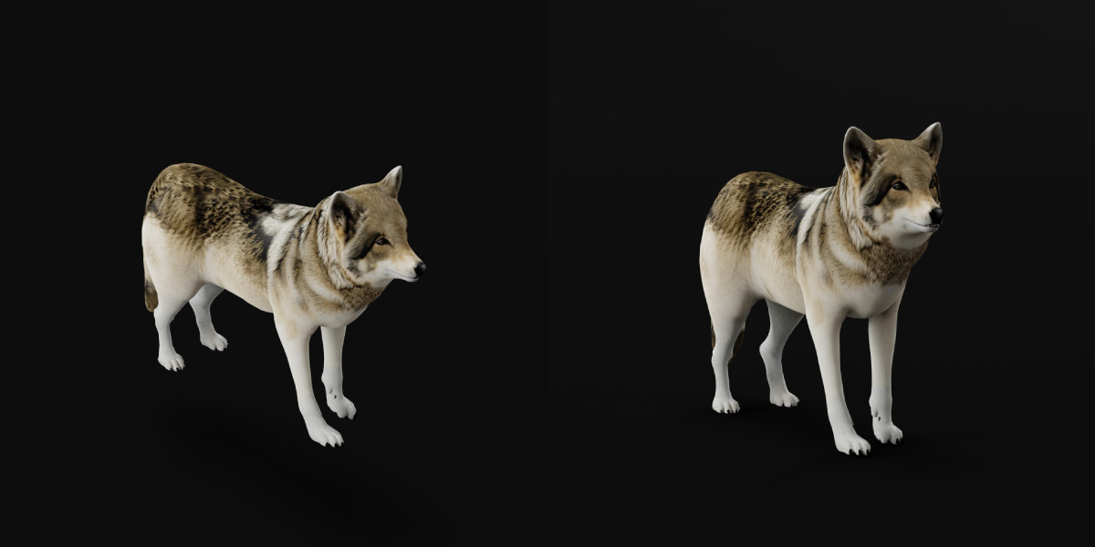 The Grey Wolf Low-poly 3D model_21