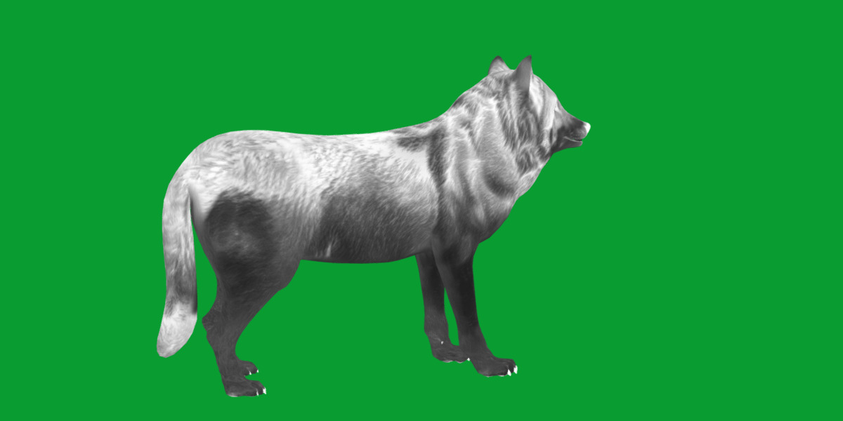 The Grey Wolf Low-poly 3D model_5