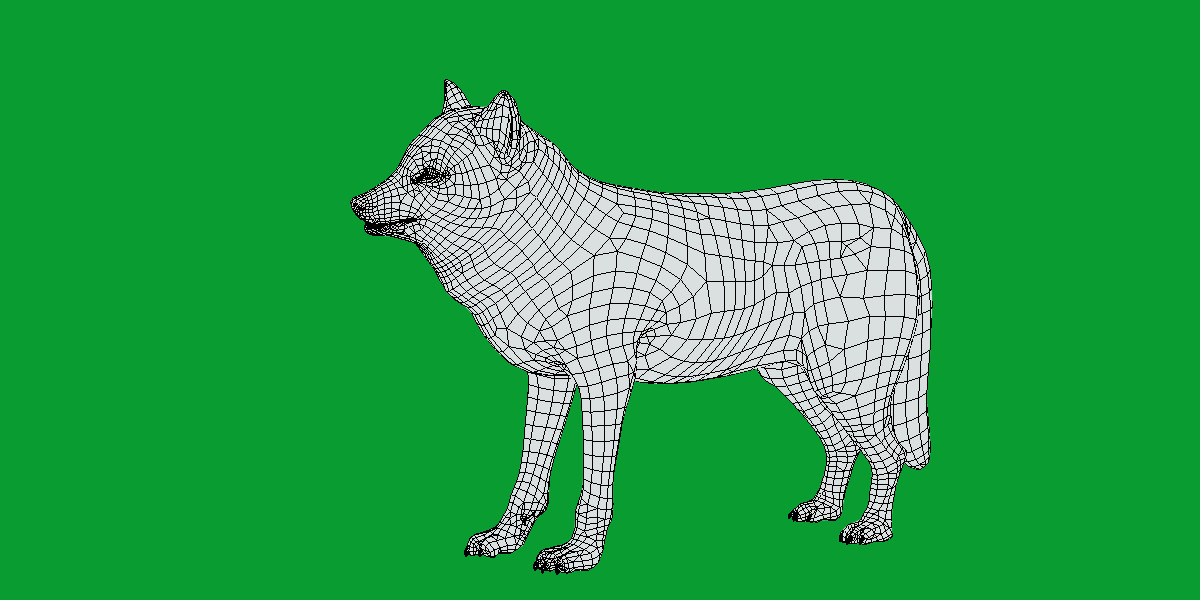 The Grey Wolf Low-poly 3D model_9
