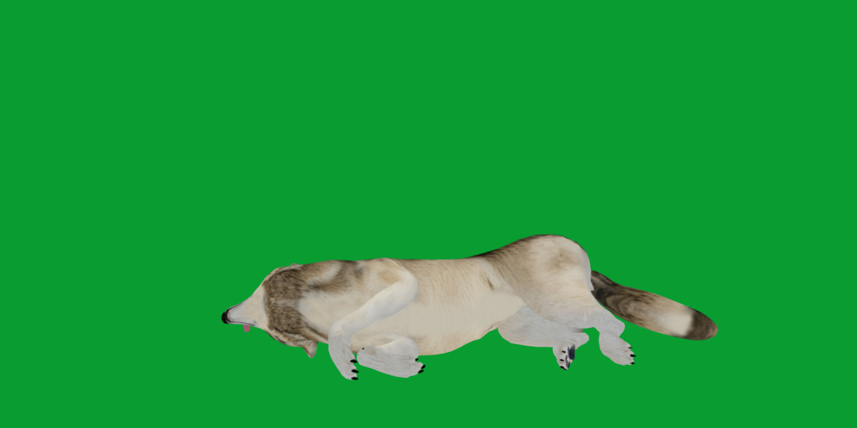 The Grey Wolf Low-poly 3D model_15